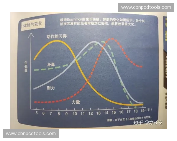 基于力量监测表的运动表现评估与训练效果优化研究 基于力量监测表的运动表现评估与训练效果优化研究