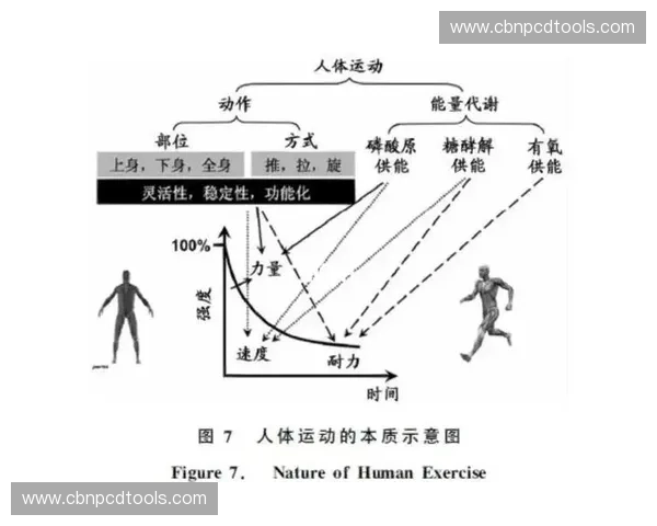 侧身推进技巧与应用解析,助力运动表现提升与核心力量训练 侧身推进技巧与应用解析,助力运动表现提升与核心力量训练